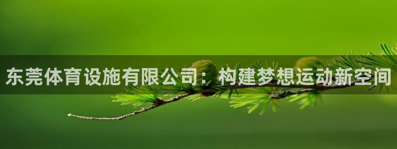 凯捷体育集团官网网址