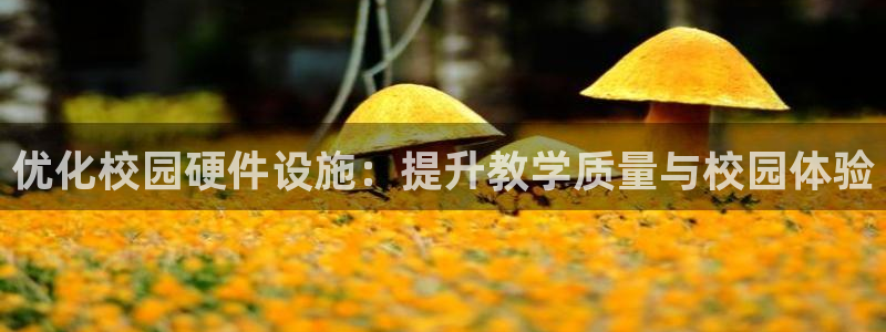 凯捷体育集团简介