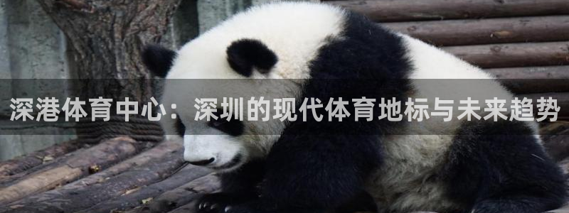 凯捷体育开户：深港体育中心：深圳的现代体育地标与未来