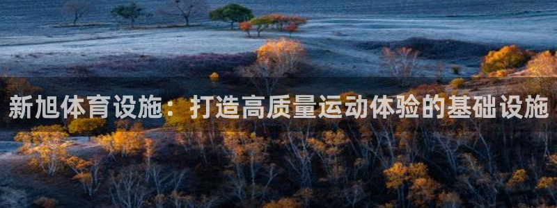 德国凯捷体育集团：新旭体育设施：打造高质量运动体验的基础设施