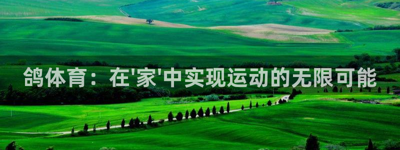 凯捷体育软件：鸽体育：在\'家\'中实现运动的无限可能