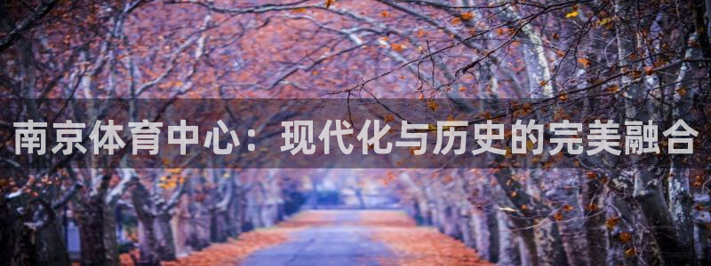 凯捷体育招商电话号码查询是多少：南京体育中心：现代化