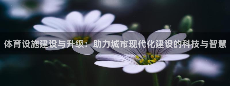 凯捷体育平台：体育设施建设与升级：助力城市现代化建设