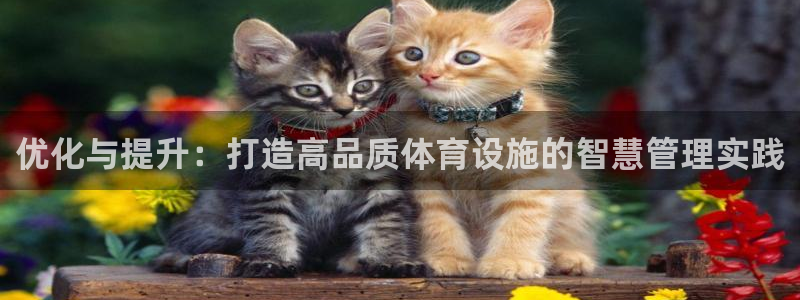 德国凯捷体育集团：优化与提升：打造高品质体育设施的智