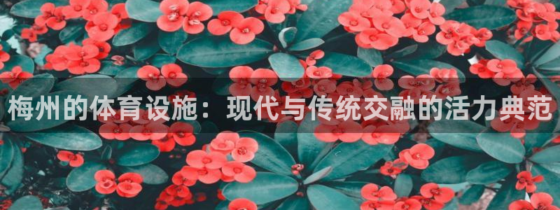 凯捷体育：梅州的体育设施：现代与传统交融的活力典范