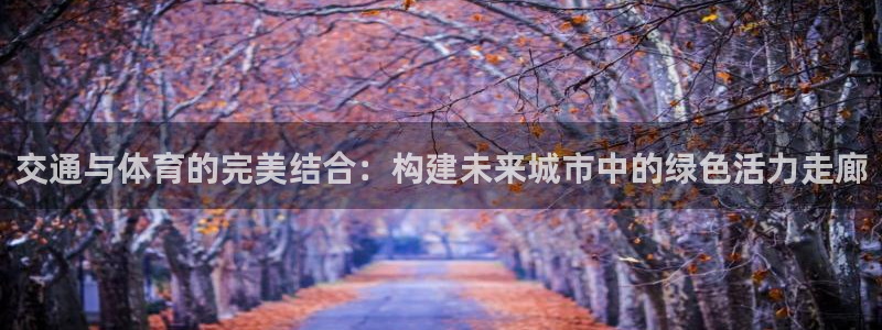 凯捷体育娱乐40996：交通与体育的完美结合：构建未