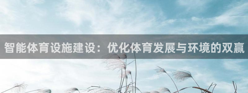 凯捷体育新能源