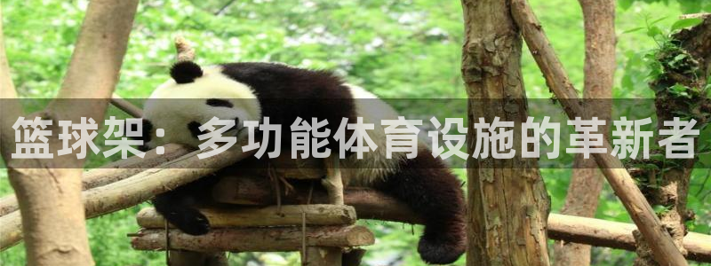 凯捷体育代理：篮球架：多功能体育设施的革新者
