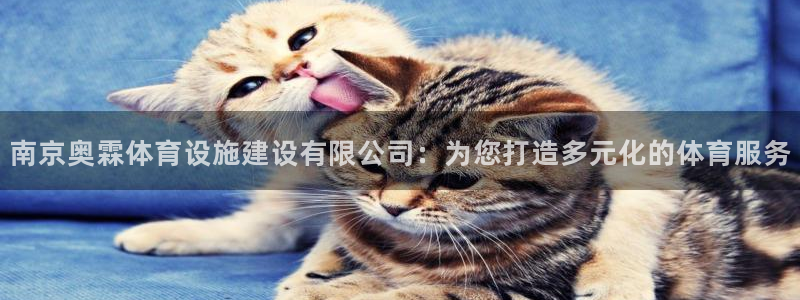 凯捷体育平台注册要钱吗安全吗：南京奥霖体育设施建设有