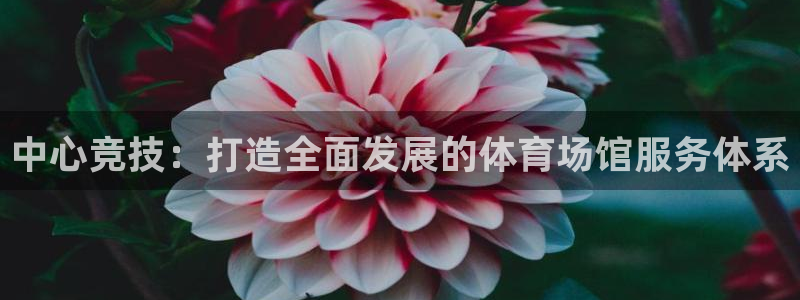 凯捷集团官网：中心竞技：打造全面发展的体育场馆服务体