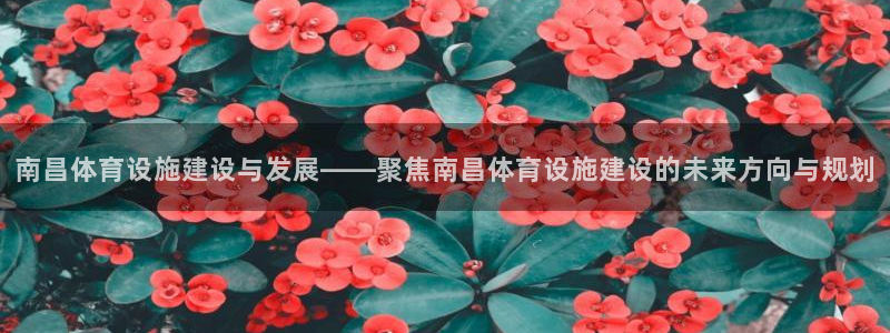 凯捷体育平台注册流程图：南昌体育设施建设与发展——聚焦南昌体