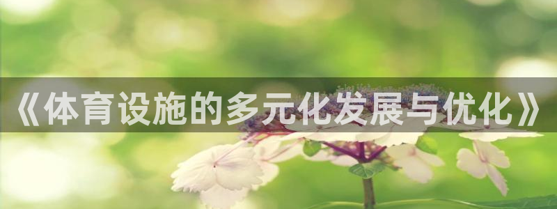 凯捷体育招商电话号码：《体育设施的多元化发展与优化》
