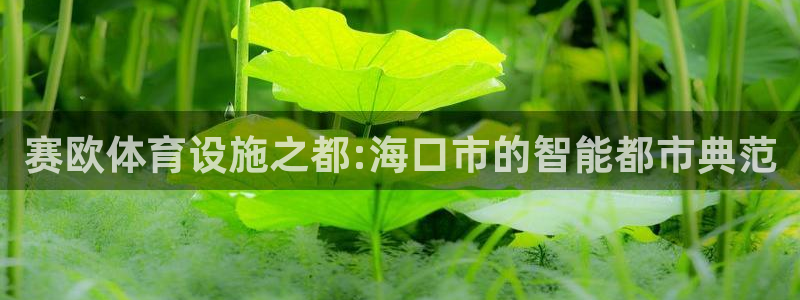 凯捷体育集团：赛欧体育设施之都:海口市的智能都市典范