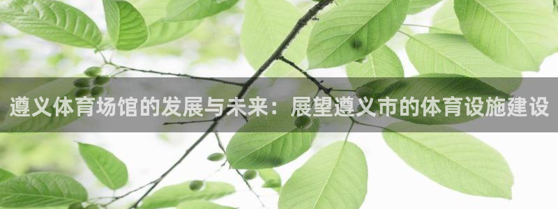 凯捷体育：遵义体育场馆的发展与未来：展望遵义市的体育设施建设 